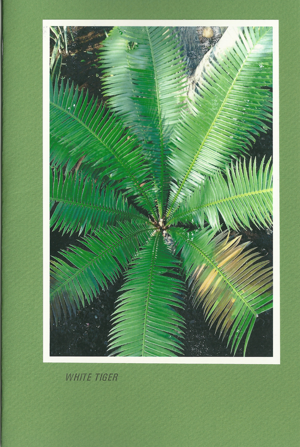 Metal Goat #6: White Tiger