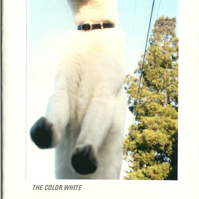 Metal goat #7: the color white