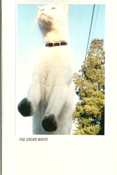 Metal Goat #7: The Color White