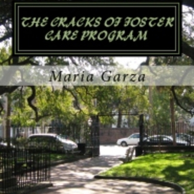 The cracks of the foster care program