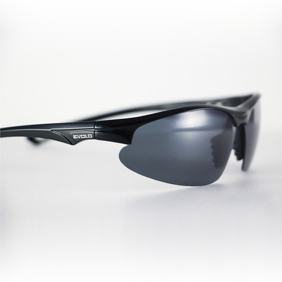 Evolo Carbon Fiber Goggles 