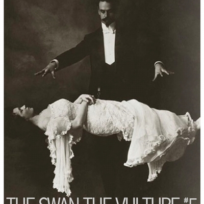 The swan the vulture #5