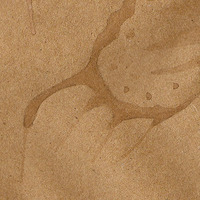 Wingless - Original drawing  - Thumbnail 1