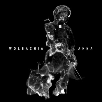 Wolbachia/Ahna Split EP