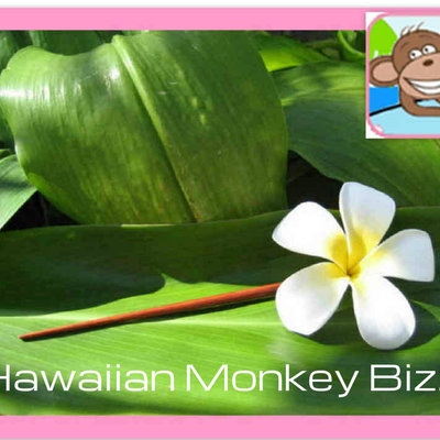 Large foam plumeria hair chopstick - for 1 . . . - Thumbnail 4