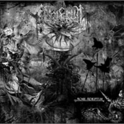 Lucifugum "acme adeptum" cd - Thumbnail 3