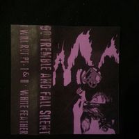 Do Tremble and Fall Silent - s/t Cassette Tape - Thumbnail 1