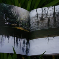 NATURE SUCKS - Thumbnail 2