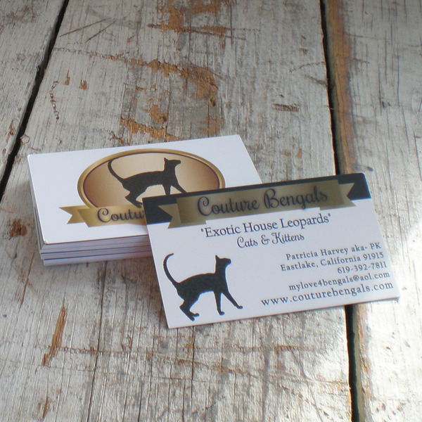 Business Card Design - Front and/or Back