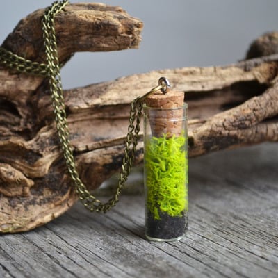 Moss necklace, nature lover gift, vial necklace, plant jewelry, canadian shop