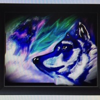  Wolves in aura borealis  - Thumbnail 1
