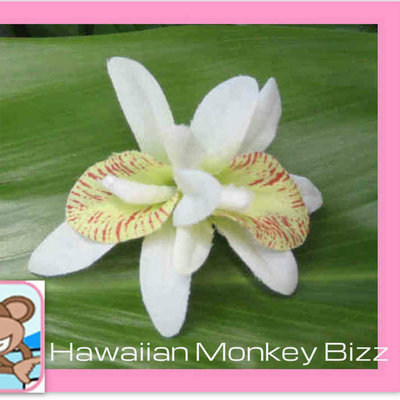 Mini double white & green orchid hair clip . . . - Thumbnail 3
