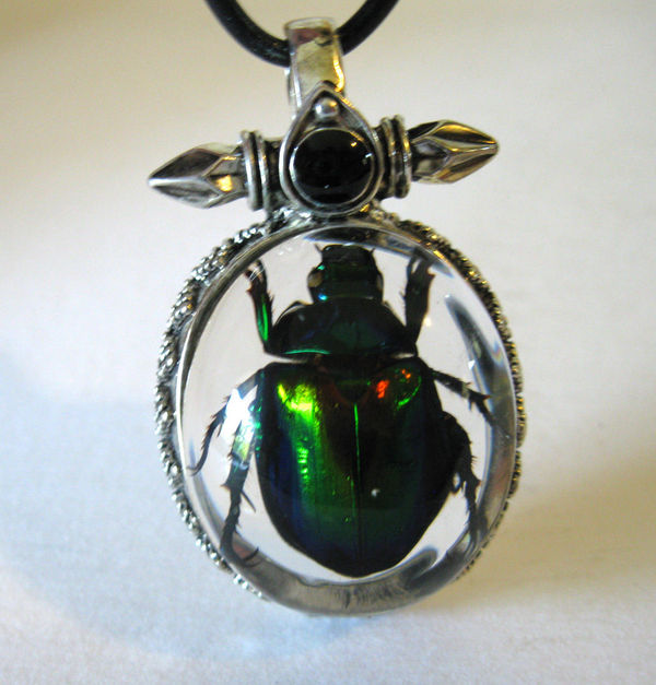 Beetle Fossil Necklace (REAL)