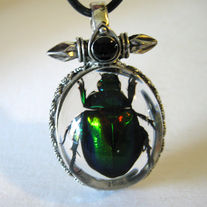 Beetle Fossil Necklace (REAL)