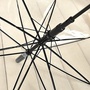 laced - the umbrella-1