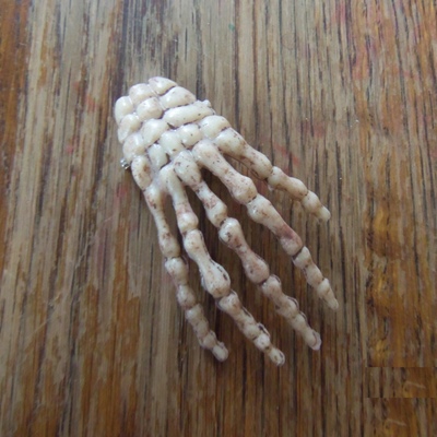 Creepy skeleton hand pin, brooch