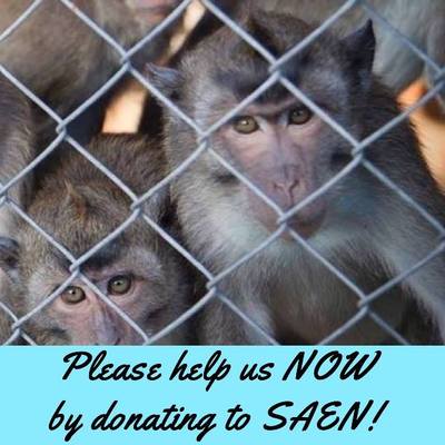 $25 donation to saen