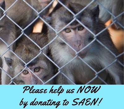$25 Donation to SAEN