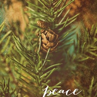 CARE CARDS // holiday pack - Thumbnail 2