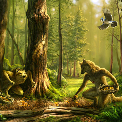 Sale  8x10  "hidden harvest" print