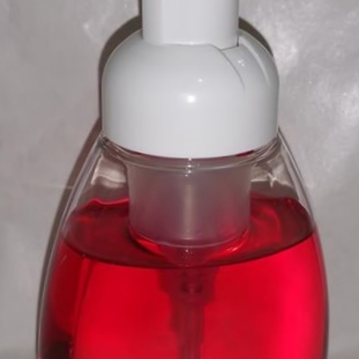 Peppermint stick foaming hand wash