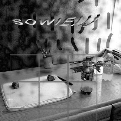 Erin jane nelson, "poto (sowie)"