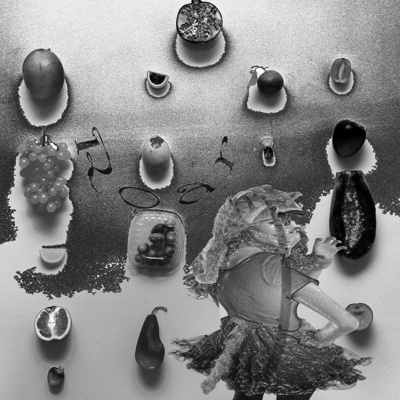 Erin jane nelson, "poto (roar)"