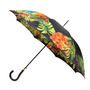 Parrot Umbrella-1