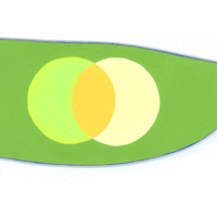 Sarah Hotchkiss, "Infinity Venn" - Thumbnail 2