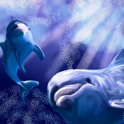 Dolphins 8x10 framed artwork