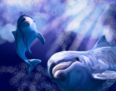 dolphins 8x10 framed artwork