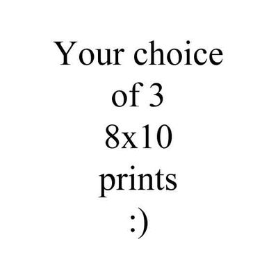 3 mix and match 8x10 print bundle set 