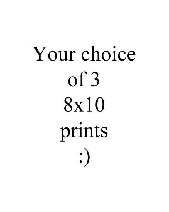 3 mix and match 8x10 print bundle set 