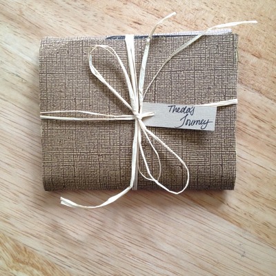 Theda's journey, chapt. 1