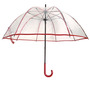 Clear Umbrella-1
