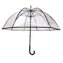 Clear Umbrella-2