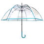 Clear Umbrella-3