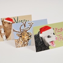 Mistletoe Christmas Card Blank