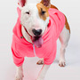 Faded Ghost Dog Zip-up Hoodies - Pink & Teal - Thumbnail 1