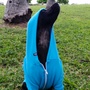 Faded Ghost Dog Zip-up Hoodies - Pink & Teal - Thumbnail 2
