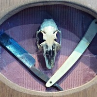 Luca Lussana - Thumbnail 1