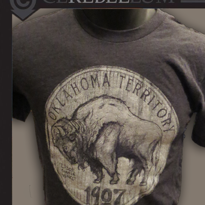 Oklahoma territory bison - Thumbnail 5