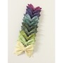 Succulent Bow Pack -2