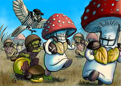 "Red Cap Rush" Football Mushrooms
