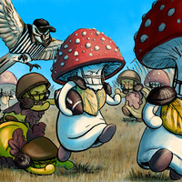 Mushroom Cards - Thumbnail 4