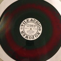 Stepdad SS "Mad About It" 12" LP (Vile Audio) - Thumbnail 2