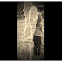 Huge Feather Costume Angel Wings-Wedding-Festival-Photo Prop-Faeryspell Creations - Thumbnail 1