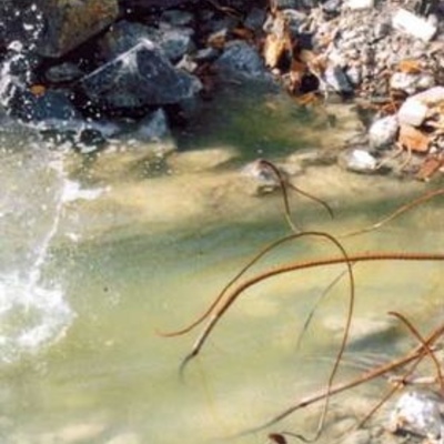 Cloama cd - Thumbnail 5