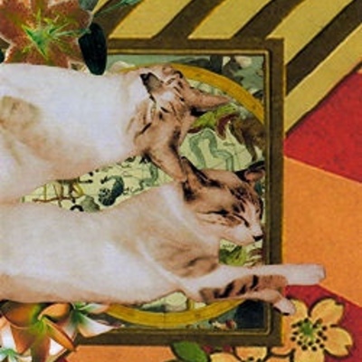 Alpha ailuros 'kätzchenszenen' cdr - Thumbnail 5