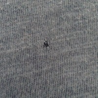 Teal Loose Fitting Shirt - Thumbnail 1